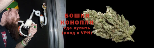 крисы Гусиноозёрск
